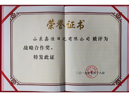 戰略合作（zuò）獎